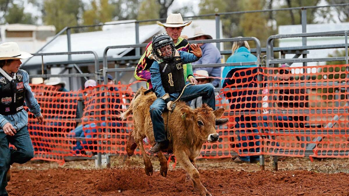 Next month's rodeo free to public for drought resilience