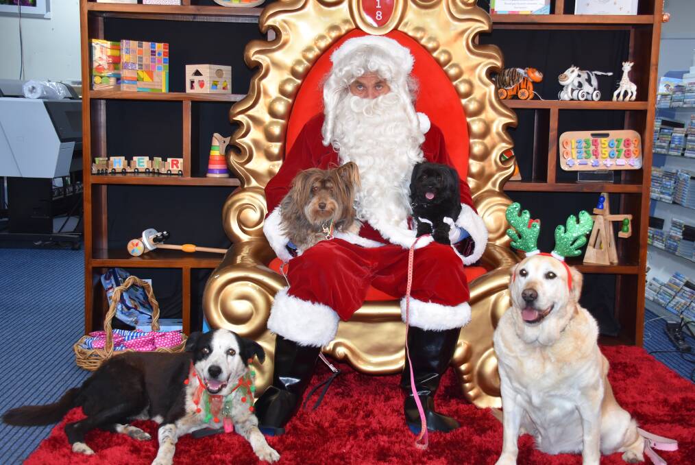 BE GOOD, BOY!: Santa Claus with rein-dogs. Photo: Nicholas Fuller