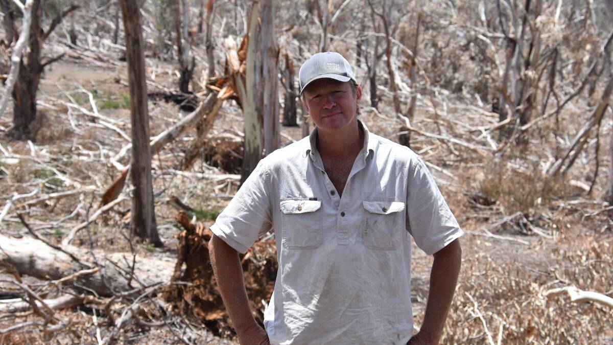 HAMMERED: Local farmer Angus Kirton surveys wrecked trees on his property Bilbrooke. Photo: Nicholas Fuller