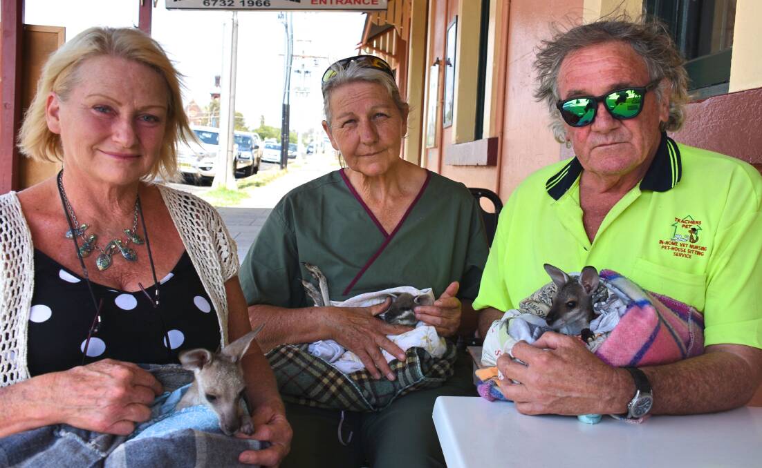 Glen Innes RSPCA vice-president Nora Sheridan and wildlife carers Julie and Gary Willis holding orphaned kangaroos and wallabies. Picture: Nicholas Fuller