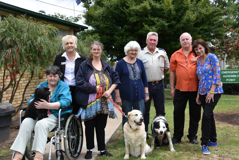 Kathleen Gallagher, Janelle Veale, Kerrie Willcocks, Judy Fraser, Michael Makeham, Brian Hansell, and Brigitte Burridge, with dogs Toddles, Marley, and Collie. Photo: Nicholas Fuller
