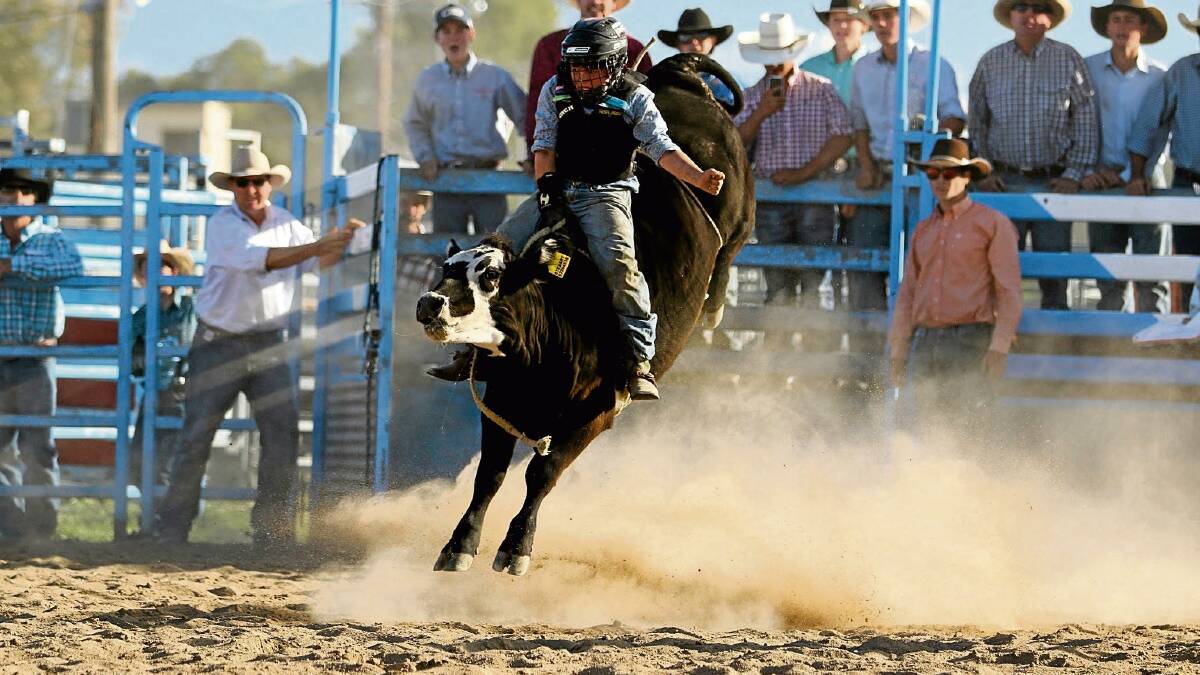 Next month's rodeo free to public for drought resilience