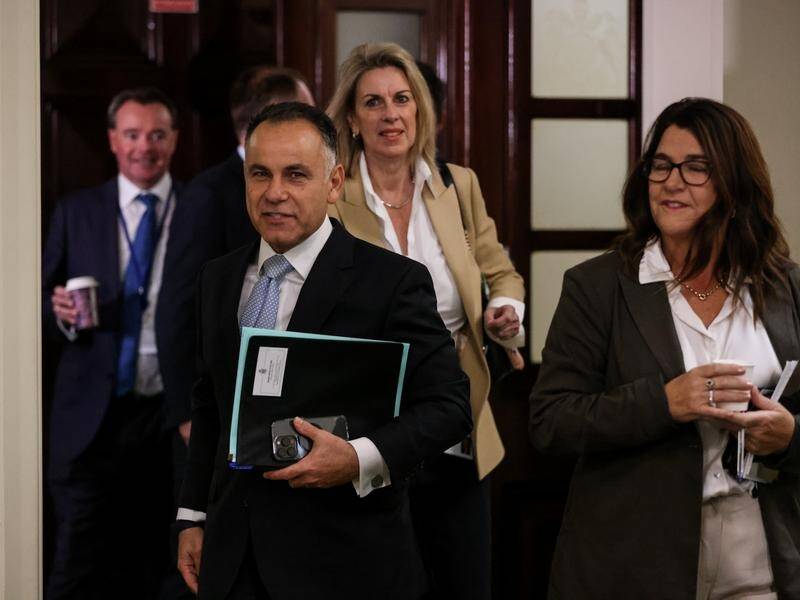 Victorian Opposition Leader John Pesutto and other Liberals have voted on Moira Deeming's fate. (Diego Fedele/AAP PHOTOS)