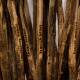 Timber spears scarred with the names of Aboriginal children are among artworks showing in Singapore.