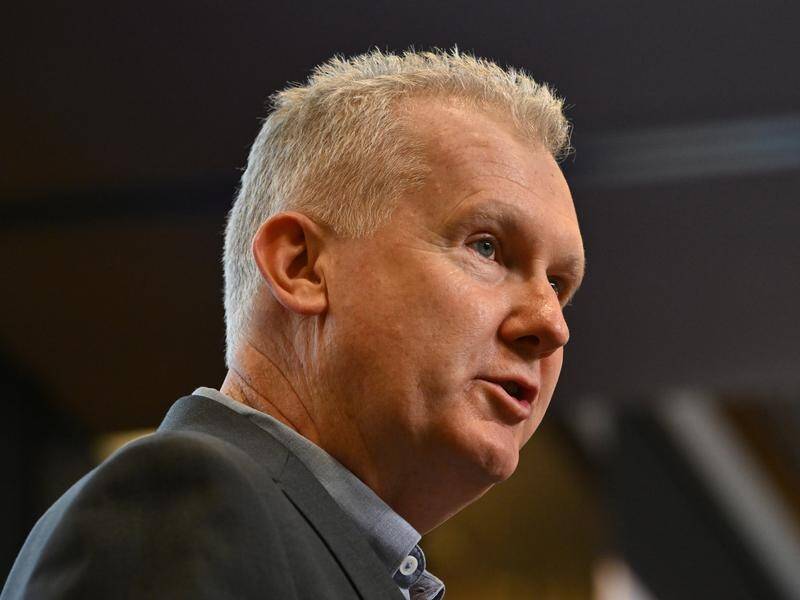 Workplace Minister Tony Burke will put to ministers a proposal to ban the domestic use of silica. (Mick Tsikas/AAP PHOTOS)