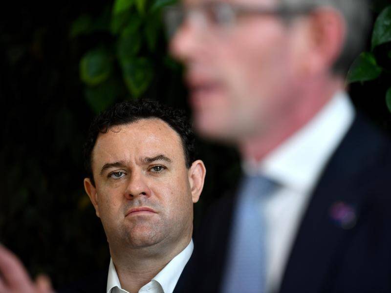 NSW trade minister Stuart Ayres faces pressure over the appointment of John Barilaro to a trade job. (Bianca De Marchi/AAP PHOTOS)