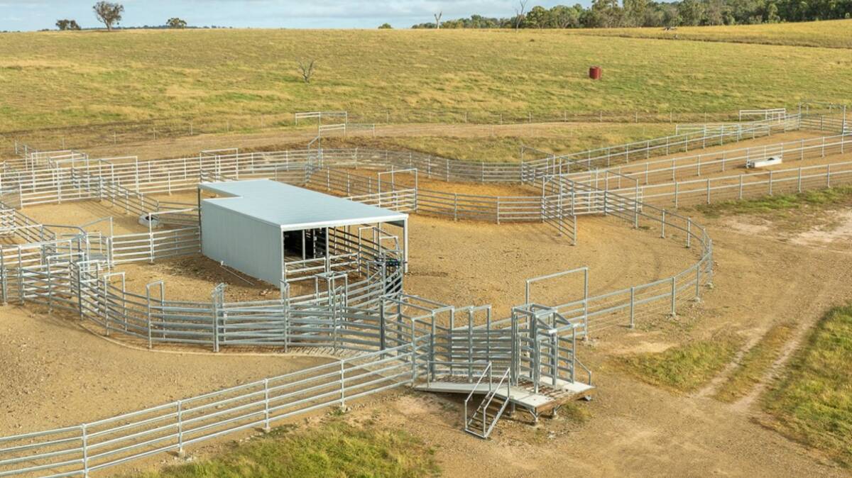 The recently completed main yards have a hydraulic crush, five-way drafting pound, and calf cradle. Picture supplied